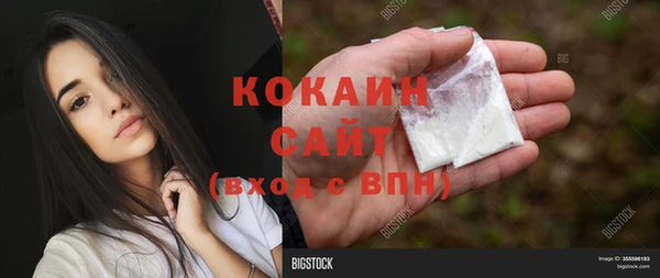 крисы Горняк